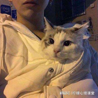 海贼杀ol变态版下载